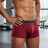 Male model wearing burgundy modal boxer briefs with a navy waistband
